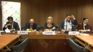 Side-event: Human Rights in Palestine, 11 June 2013, Issa Amro