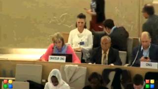 25th Session of the Human Rights Council, Item 2