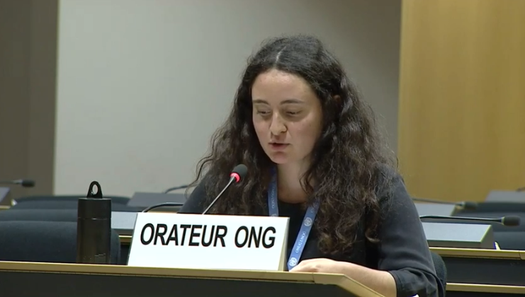 45th Session UN Human Rights Council - The Responsibility of Politicians in Fighting Against Racism - Diane Gourdain